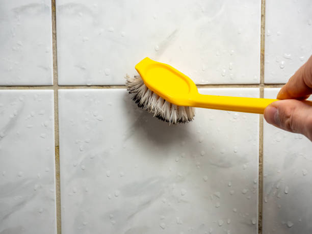 Best Preventive Mold Services in Mcchord Af, WA