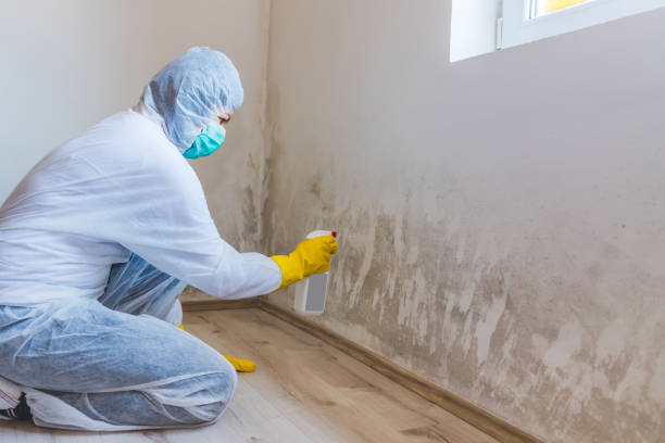 Best Commercial Mold Remediation in Mcchord Af, WA