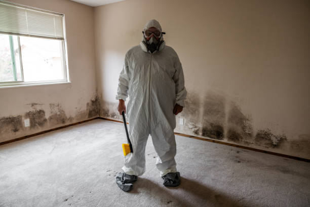 Best Kitchen Mold Remediation in Mcchord Af, WA